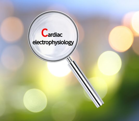 Чреспищеводное электрофизиологическое исследование сердца (ЧПЭФИ)