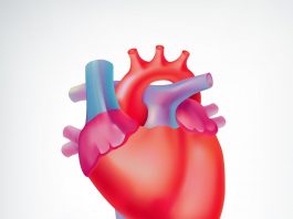 Миокардиодистрофия: симптомы и лечение