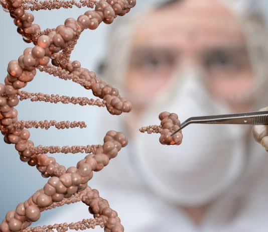 Изучение генетических факторов риска сердечно-сосудистых заболеваний